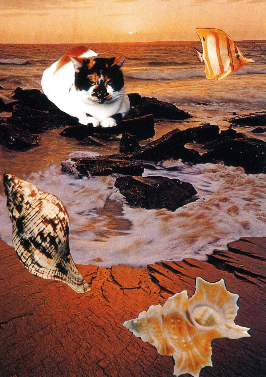 image of Seashore Feline Fantasy